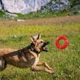 thumbnail image 5 of Puppy Chew Toy for Medium and Large Breed, 5 of 5