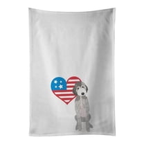 Carolines Treasures WDK4146WTKT 28 x 19 in. Unisex Doodle Silver No.1 Patriotic White Dish Towels Kitchen Towel - Set of 2
