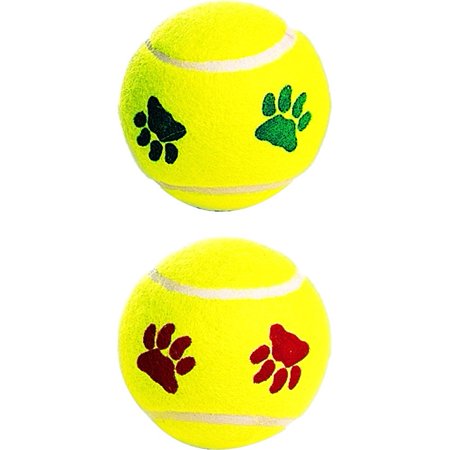 Spot Dog Fetch Toy