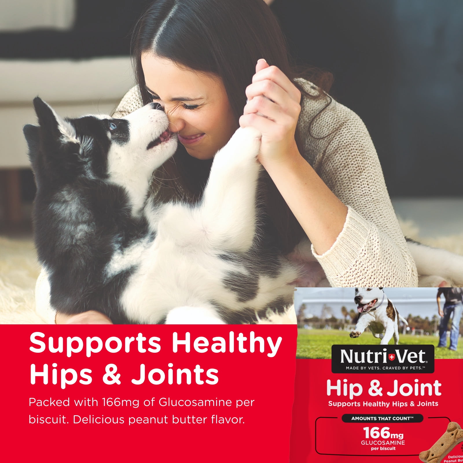 Nutri-Vet Hip & Joint Biscuits for Dogs - 4.2oz.
