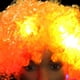 thumbnail image 2 of Peluca de cabeza explosiva elástica con tocado de payaso con luz LED para fiesta Rave (amarillo), 2 of 8