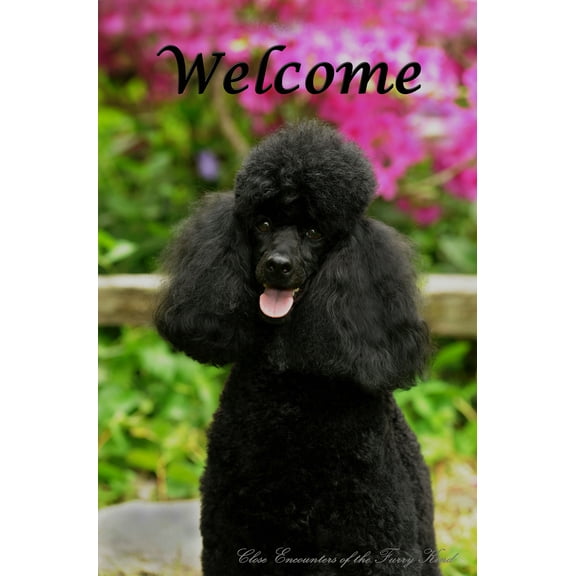 Black Poodle - Best of Breed CEFK Welcome Photo Garden Flag