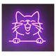 thumbnail image 1 of Letrero De Neón LED Con Forma Gato, Ideal Para Decorar La Pared Tu Habitación, El Hogar, Tiendas Mascotas, Salas Juegos, Bares 45cm, 1 of 3
