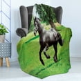 thumbnail image 4 of Horses Soft Flannel Fleece Throw Blanket, Friesian Male Horse Masculine Driving Force of Life Power Inner Strength, Cozy Plush for Indoor and Outdoor Use, 70" x 90", Black Green, by Ambesonne, 4 of 5