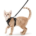 thumbnail image 1 of Arnés negro XS para gatos, correa para perros pequeños, arnés ajustable para gatitos, collar reflectante para gatos, chaleco transpirable para conejos, gatos europeos de pelo corto, Maine Coon, persas, 1 of 5