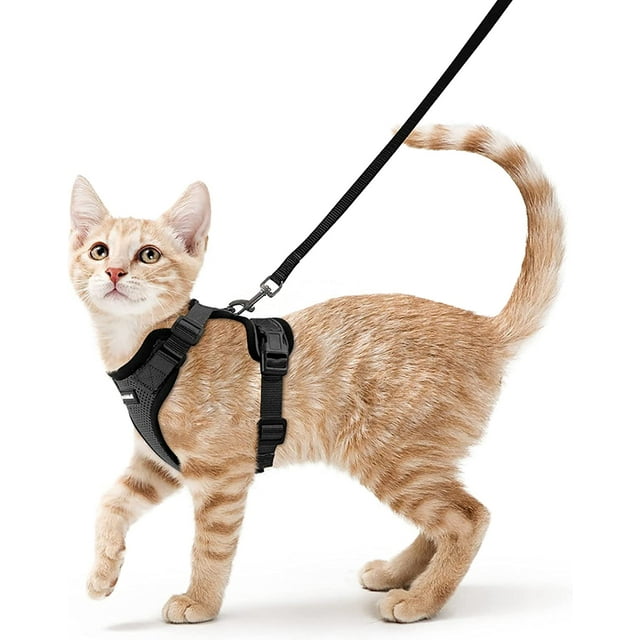 Arnés negro XS para gatos, correa para perros pequeños, arnés ajustable para gatitos, collar reflectante para gatos, chaleco transpirable para conejos, gatos europeos de pelo corto, Maine Coon, persas