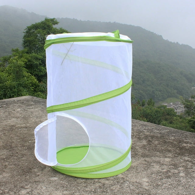 Jinsinto 50*35cm Collapsible Insect Cage Nets Butterfly Cage Habitat Cage, Insect Cage Bug