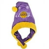 NBA Los Angeles Lakers Thematic Santa Hat