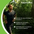 thumbnail image 4 of Suplemento NaturesPlus de jugo de naranja masticable con vitamina C, 500 mg, 4 of 8