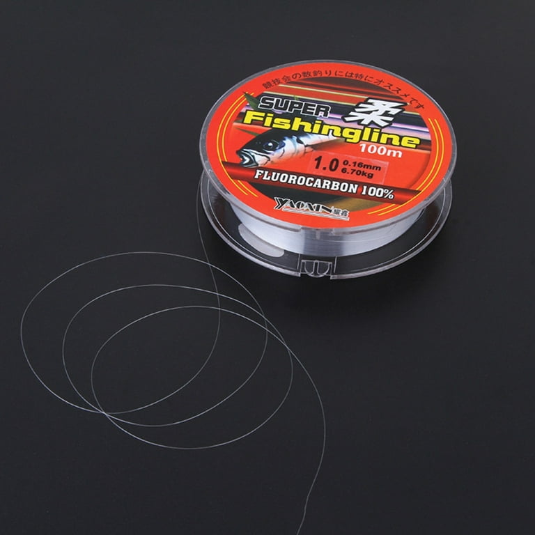 ZEDWELL Monofilament Fishing Line, 100 Meters 0.45mm Nylon Fly Fishing Wire, Abrasion Resistant Strong Braided Thread Clear Fishs Line, Size: Medium
