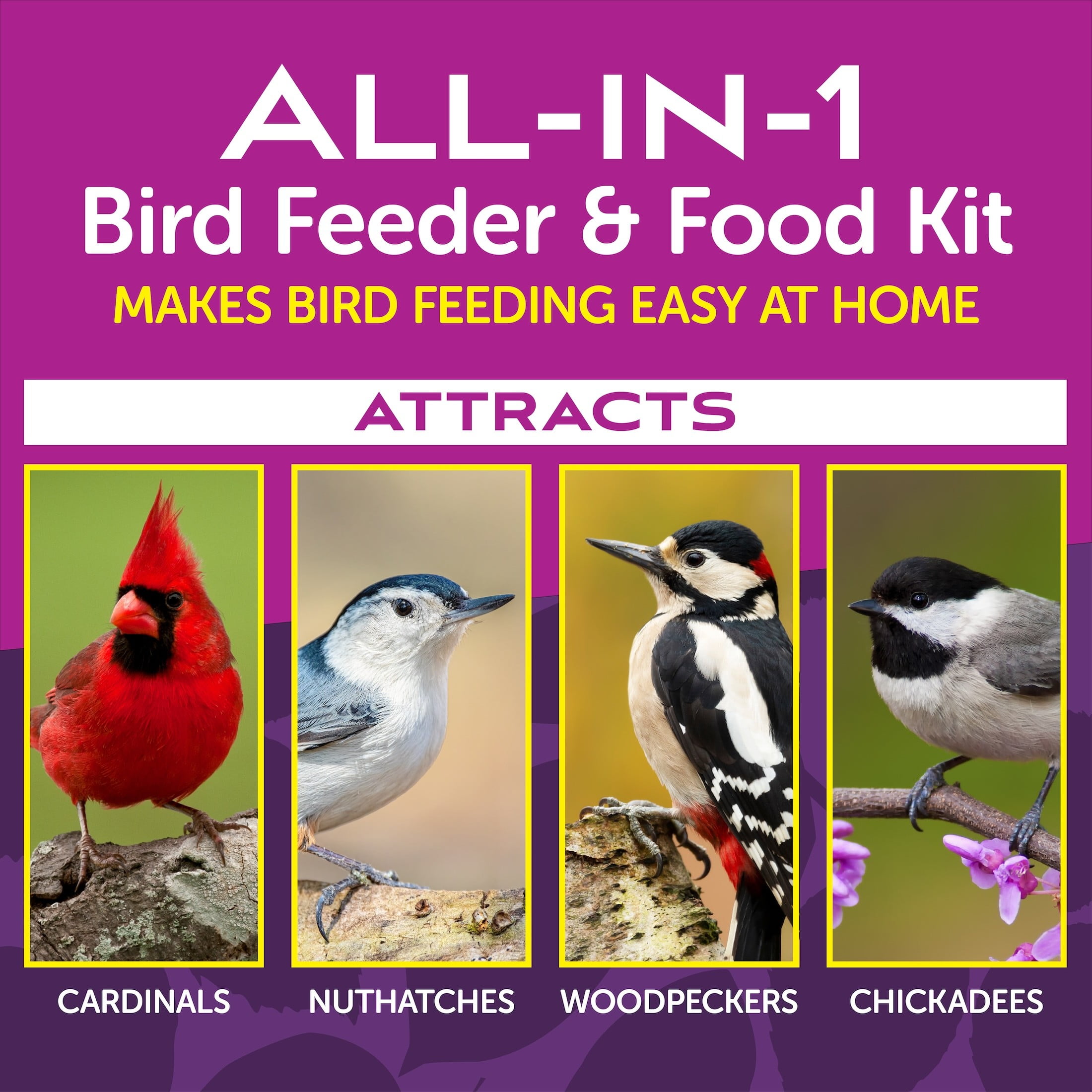 Pennington Earth Smart Ecobistro 5lb Capacity Wild Bird Feeder and Feed Starter Kit 1 Each