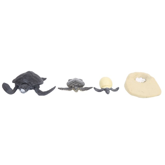 Toys, Sea Animal Figures Creative Educational For Science Learning For Educational Projects For Handicraft Decoration For Birthday Gifts 2421,2422,2423,2425