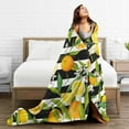 thumbnail image 5 of Kll Fleece Blanket Plush Throw Blanket Orange And Lemon,Soft Fuzzy Cozy Flannel Blanket For Couch Sofa Bed.(40"X30"), 5 of 9
