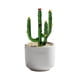 thumbnail image 2 of Flores artificiales, plantas artificiales, flores falsas, pequeños adornos esmaltados, cactus, plantas en maceta, oficina, vidrio, artesanías, regalos, hogar, interior, pequeños adornos esmaltados., 2 of 6
