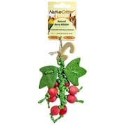 Berry Nibbler - NativeCritter Natural Chew for Hamsters, Gerbils, Rabbits, Guinea pigs, Prairie Dogs, Chinchillas, Degus, Squirrels, Rats and other chewing small animals