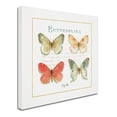 thumbnail image 2 of Trademark Fine Art "Rainbow Seeds Butterflies III" Canvas Art by Lisa Audit, 2 of 3