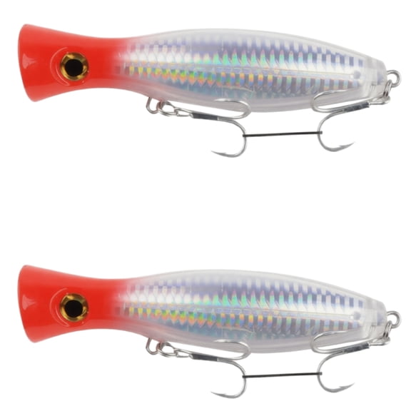 Bisitoy 2Pcs Jerkbait Fishing Lures Set with Suspending Feature for Clear Water