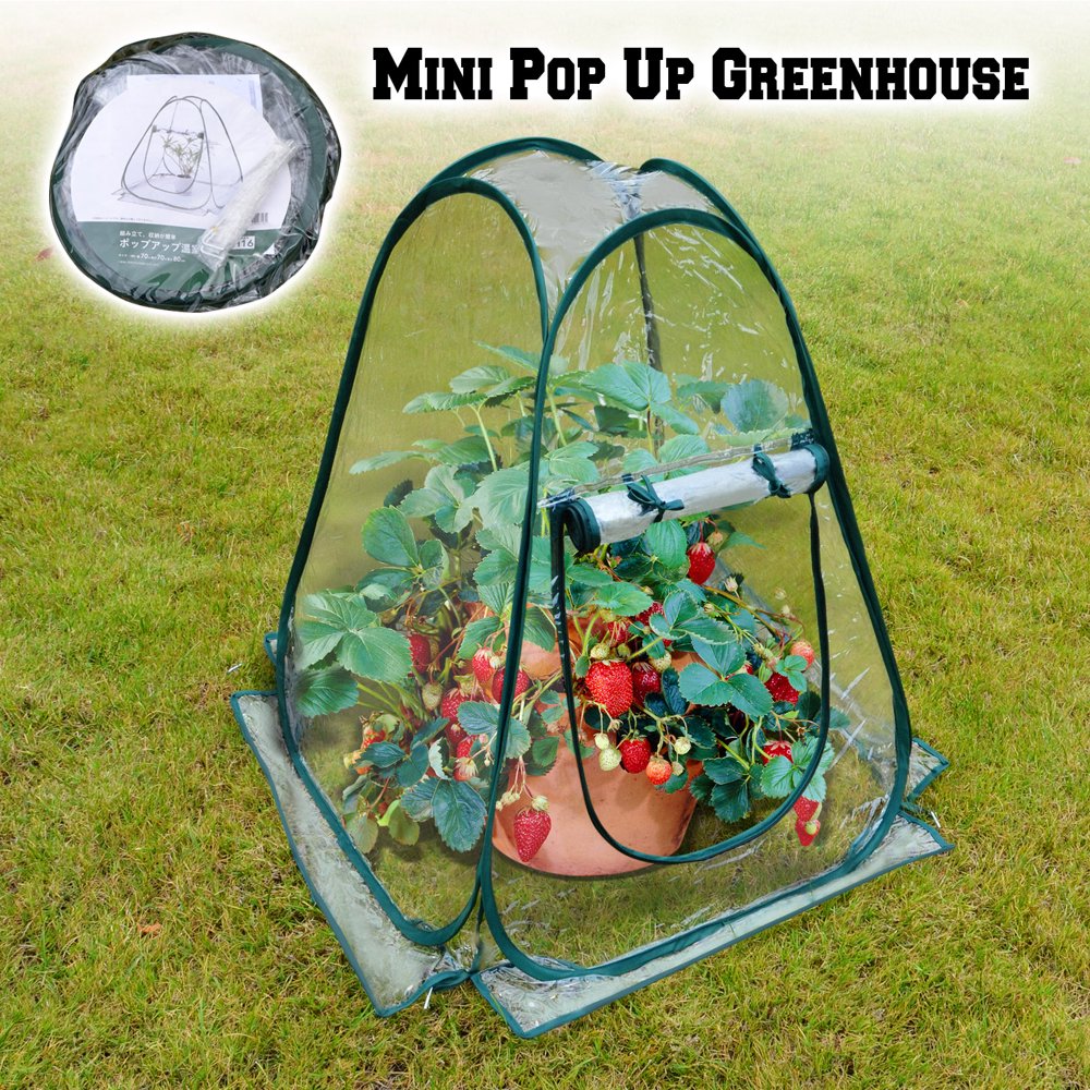 Sunrise Outdoor 25"x25"x34" Mini Pop Up Greenhouse, For Small Plant