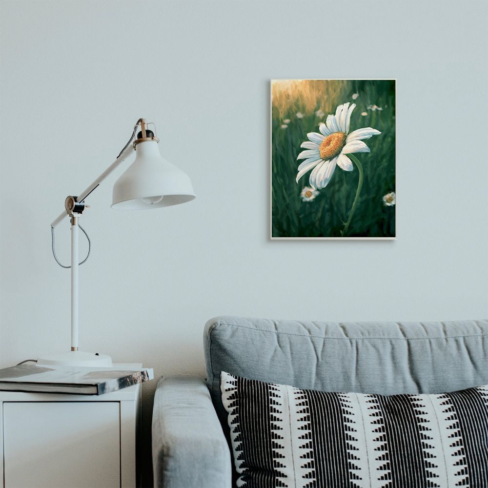 Stupell Industries Daisy Details in Field of Spring Flowers Designed by Ziwei Li