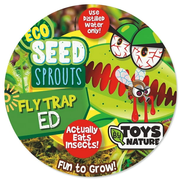 Current Ed Fly Trap Eco Seed Sprouts - Home Plant Germination Kit