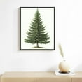 thumbnail image 2 of NIJIANKEHAN  Pine Tree Prints, Winter Decor, Vintage Botanical Fir Christmas Decorations Tree Prints, 2 of 4