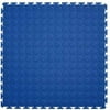 Blue Coin Top 20.5-in x 0.25-in Interlocking Tiles (Case 8)