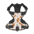 thumbnail image 4 of Lsque Cute Squirrel Fall Dog Harness, No-Pull Pet Harness with 2 Leash Clips, Adjustable Soft Padded Dog Vest with Easy Control Handle for Large Dogs-Medium, 4 of 9