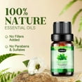 thumbnail image 4 of Hanolly Essential Oils Set, Hypoallergenic Aromatherapy Oils for Diffuser, Humidifier, Massage, Skin Care, 12 Pack, 5 ml, 4 of 9