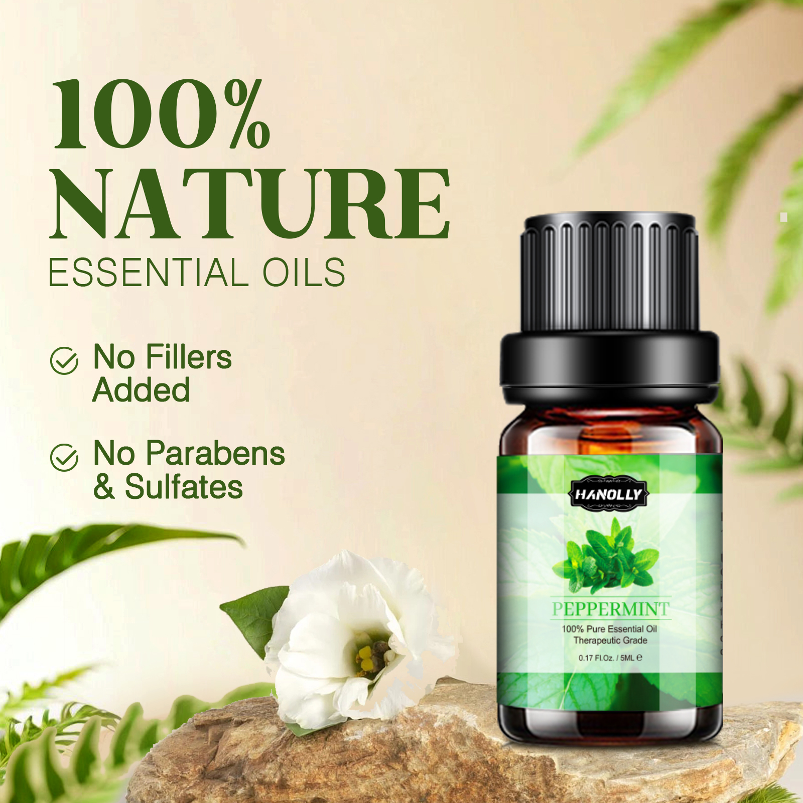 Hanolly Essential Oils Set 12-Pack photo 3