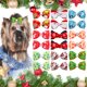 thumbnail image 4 of Lazos navideños para pelo de perro PET SHOW, 20 pares, 5-10 cm, 4 of 8