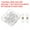 White Gold/Silver, variant on Eyeglass Chain End, 60 Pcs Eyeglass Chain Connector with Small Box for Eyeglass Holder, Black Gold/Silver