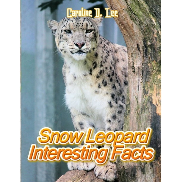 Snow Leopard Interesting Facts : Animal fact for girl age 1-10 Animal fact for boy age 1-10 fun facts about leopards leopard info (Paperback) - Snow Leopard Interesting Facts : Animal fact for girl age 1-10 Animal fact for boy age 1-10 fun facts about leopards leopard info (Paperback) -