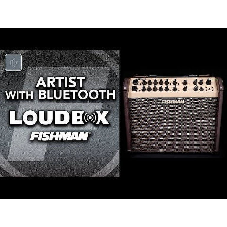 Loudbox artist amplifier new arrivals