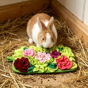 Relaxation Toys for Indoor Bunnies Rabbit Chew Toys for Teeth Small Animal Pet Supplies Interactive Bunny Relaxation Relief Toys Light Green 1 Pack