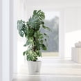 thumbnail image 4 of Ecopots Venice 2 Durable Modern Round Indoor/Outdoor Recycled Based Composite Flower Pot Planter w/ Water Reservoir, Pure White, 16", 4 of 4