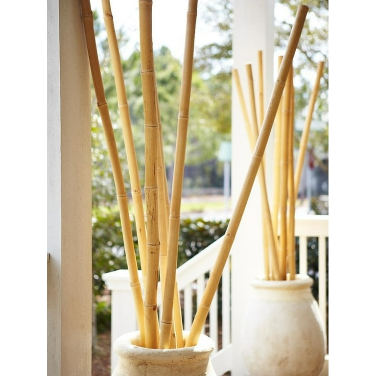 natural bamboo pole/cane/stick/stake-bamboo pole low tax