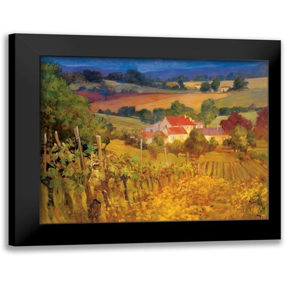 Craig, Philip 14x12 Black Modern Framed Museum Art Print Titled - Vineyard Hill