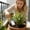 A, variant on Stainless Steel Garden Trowel, with Ergonomic Wood Handle, Rust Resistant - Perfect Tool for Gardening Weeding Transplanting & Digging