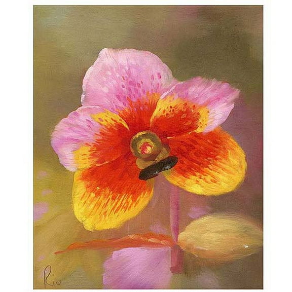 Trademark Fine Art "Orange-Pink Orchid" Canvas Art