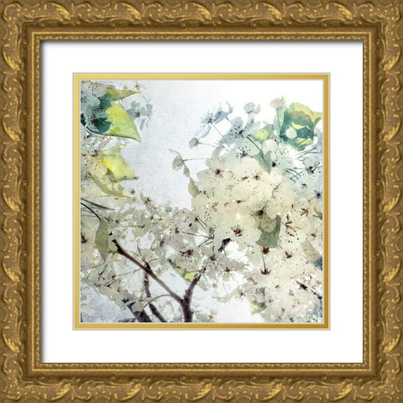 Hartson-Weddle, Ryan 20x20 Gold Ornate Wood Framed with Double Matting Museum Art Print Titled - Effloresce