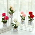 thumbnail image 1 of 1 Set Fake Flower Simulation Wear-resistant Plastic Everlasting Artificial Flower Pot for Home, 1 of 9