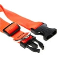 thumbnail image 3 of LupinePet Basics 1" Blaze Orange 12-20" Adjustable Collar for Medium and Larger Dogs, 3 of 4