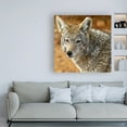 thumbnail image 3 of Trademark Fine Art 'Coyote In The Desert' Canvas Art by Mitch Catanzaro, 3 of 3