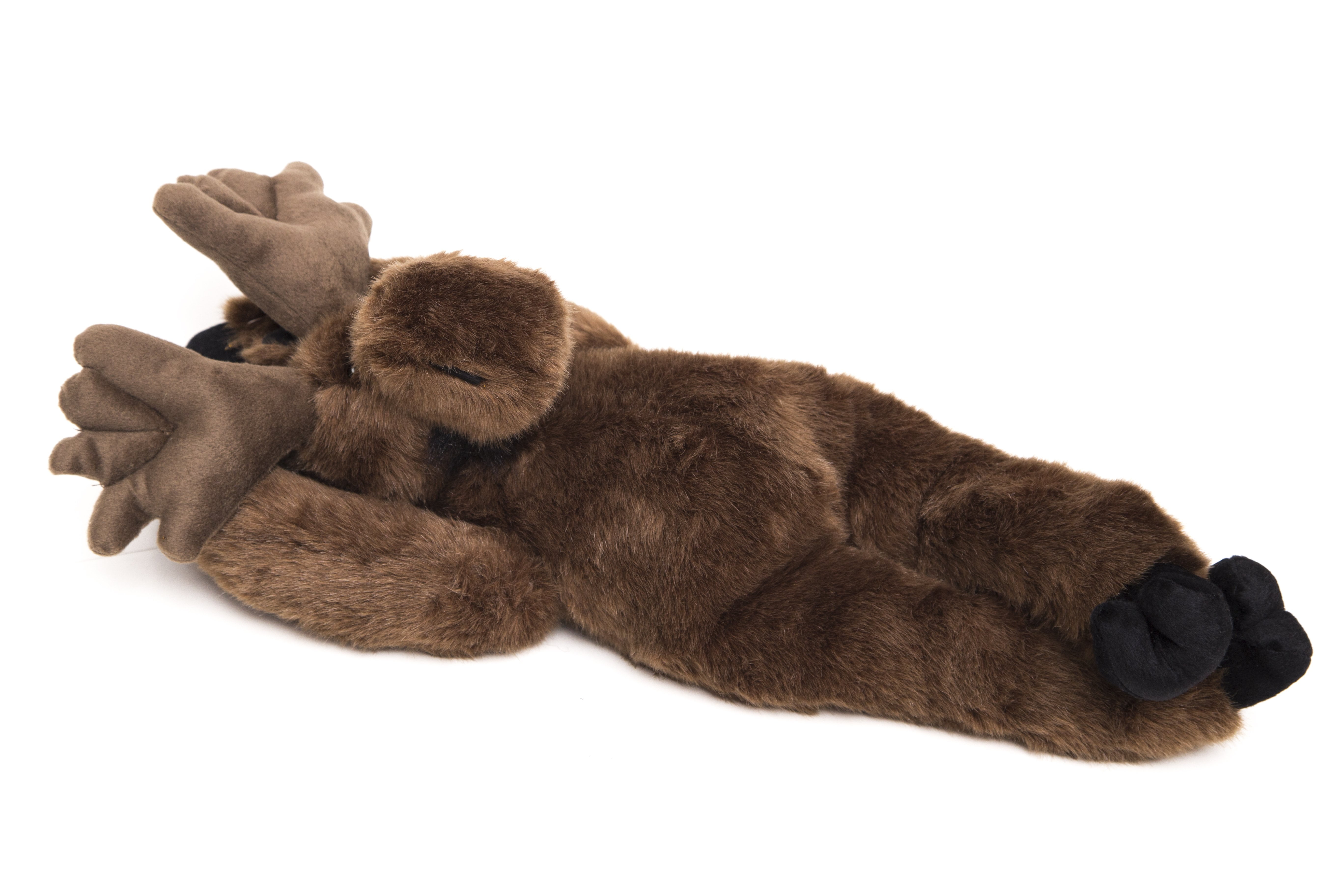 stuffed toy moose