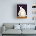 thumbnail image 2 of Trademark Fine Art Daniel Patrick Kessler Bunny Canvas Wall Art - 18x24, 2 of 5