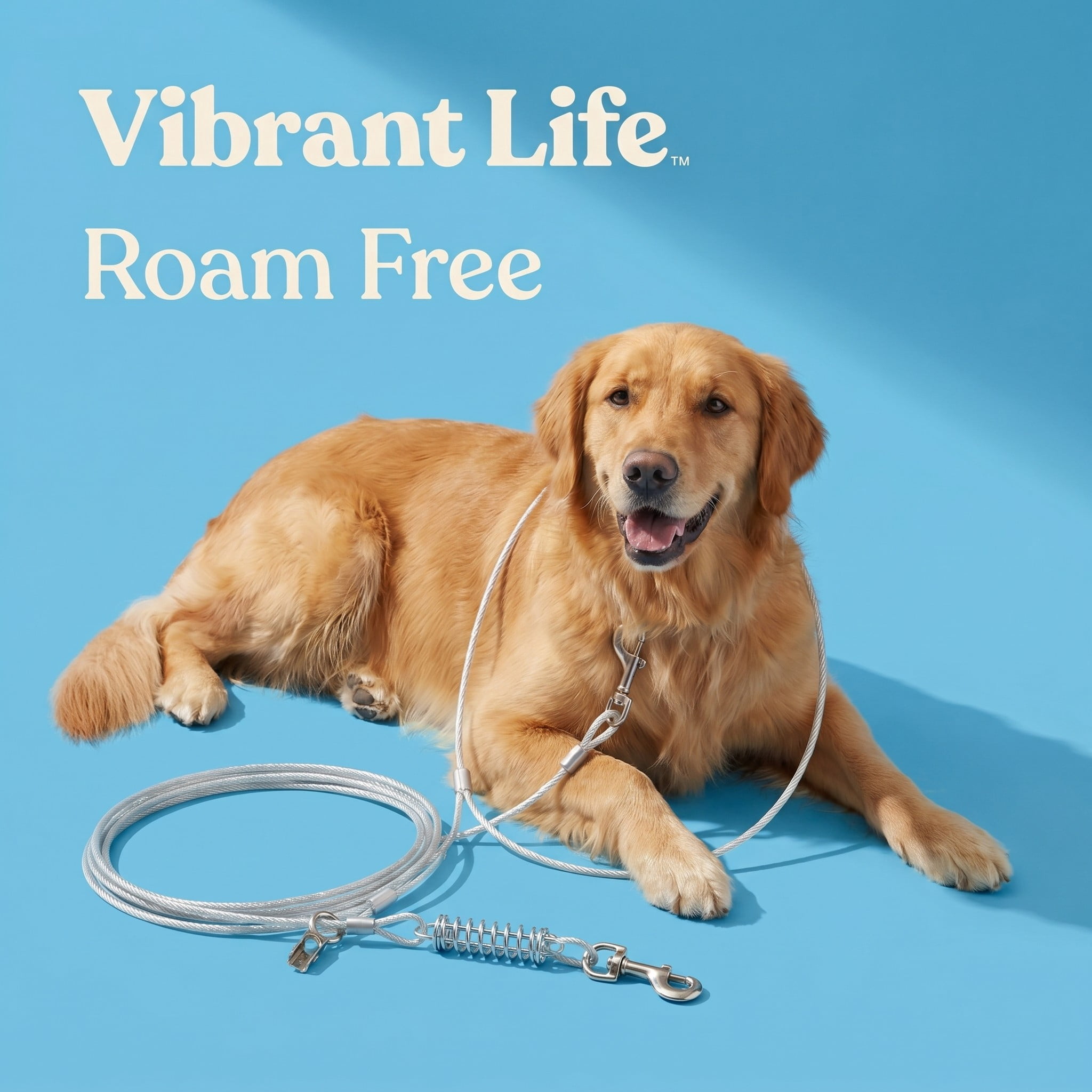 Vibrant Life Reflective Vinyl-Covered Trolley Cable Tie-Out for Dogs, XL, 60'