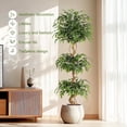 thumbnail image 6 of Artificial Ficus Silk with Curved Trunk,Faux Pot Plant Fake Silk Trees for In/Outdoor Home Decor, 6 of 7