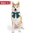 thumbnail image 2 of Hebilla de aleación con collar para mascotas con lazo grande-verde-L, 2 of 5