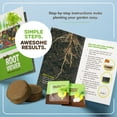 thumbnail image 4 of Root Viewer - Growing Kit for Kids - Science Toy & Craft Kit - Gift for Kids, 4 of 8