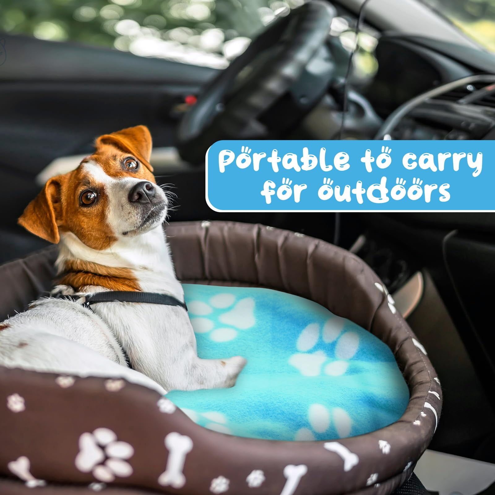 20 Pcs Puppy Blanket Pet Soft Fleece Dog Blankets Warm Felt Throw Sleep Mat Bed Covers For Doggie Dogs Cat  20 Styles(23.6 X 27.6 Inch Mix)